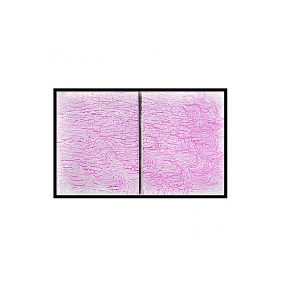 Тест-панель ASME V