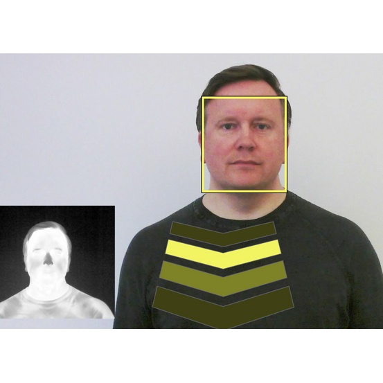 FLIR Screen-EST программное обеспечение для измерения температуры человека