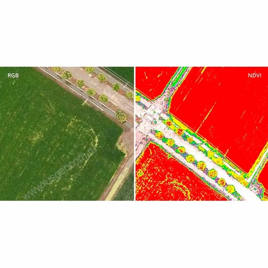 Квадрокоптер DJI Phantom 4 Multispectral + Мобильная станция D-RTK 2 High Precision GNSS