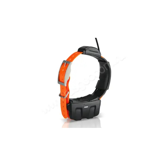 Ошейник Garmin DC 50 Russia