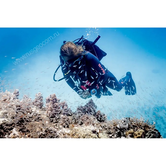 Компьютер для дайвинга SUUNTO Zoop Novo Blue