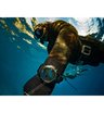 Компьютер для дайвинга SUUNTO D6i Novo Black Zulu