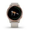 Смарт-часы Garmin Venu Light Sand/Rose Gold