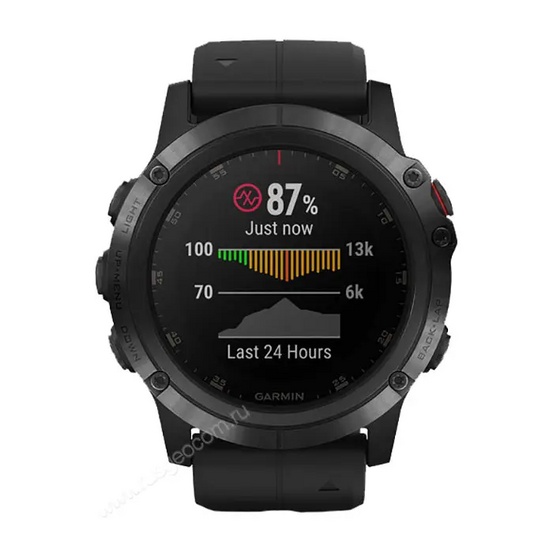 Часы Garmin Fenix 5X Plus Sapphire черный с черным ремешком Россия