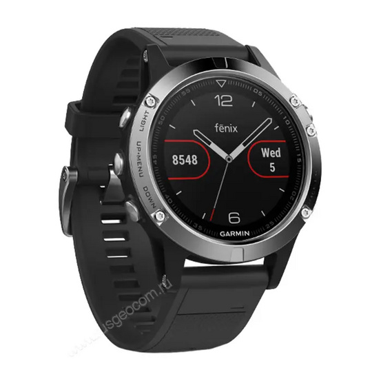 Часы Garmin Fenix 5 серебристые с черным ремешком