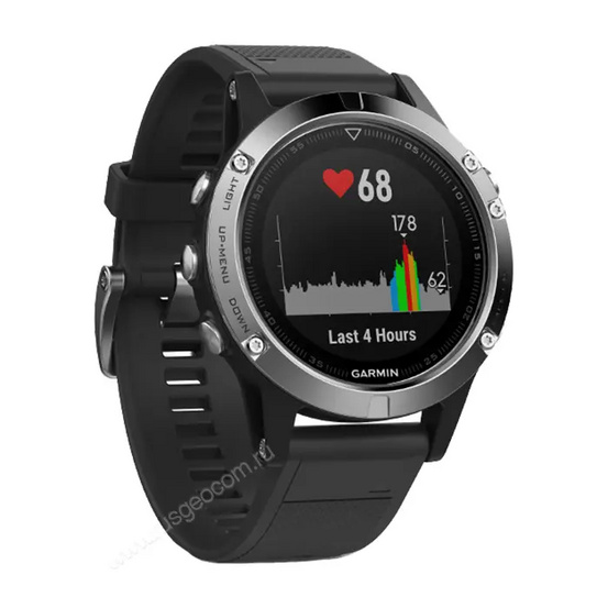 Часы Garmin Fenix 5 серебристые с черным ремешком