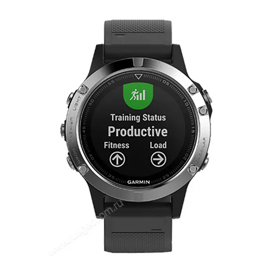 Часы Garmin Fenix 5 серебристые с черным ремешком