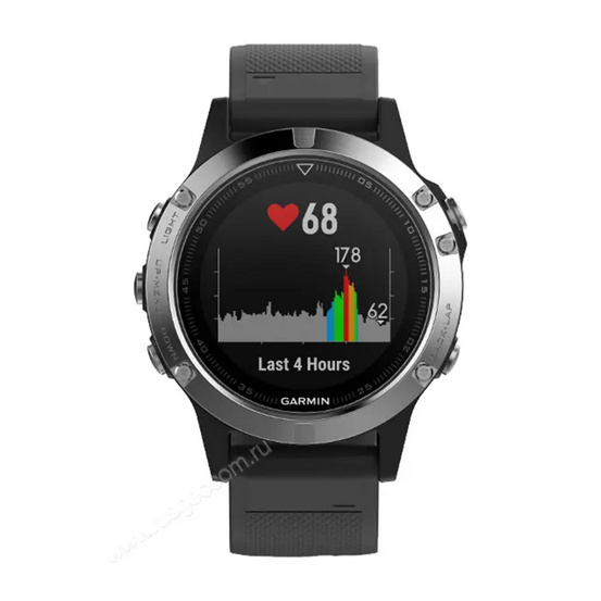 Часы Garmin Fenix 5 серебристые с черным ремешком