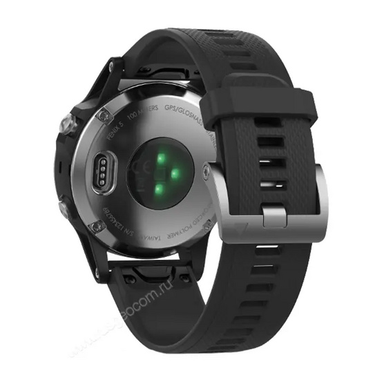 Часы Garmin Fenix 5 серебристые с черным ремешком