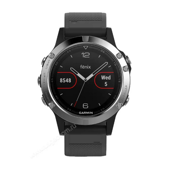 Часы Garmin Fenix 5 серебристые с черным ремешком