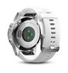 Часы с GPS Garmin Fenix 5S белые с белым ремешком