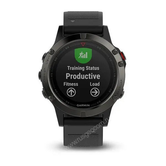 Часы с GPS Garmin Fenix 5 серые с черным ремешком и HRM-Tri