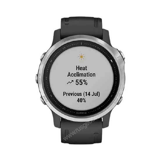 Часы Garmin Fenix 6S серебристые с черным ремешком