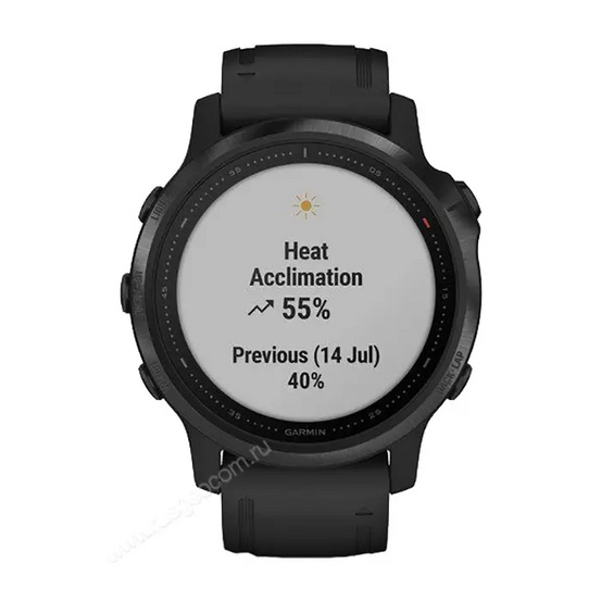 Часы Garmin Fenix 6S Pro черный с черным ремешком