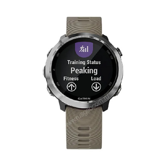 Часы Garmin Forerunner 645 с песочным ремешком