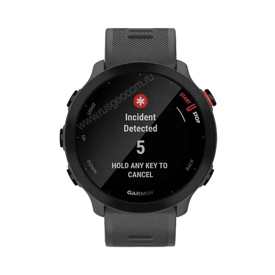 Часы Garmin Forerunner 55 серые