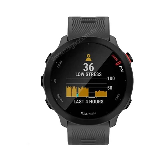 Часы Garmin Forerunner 55 серые