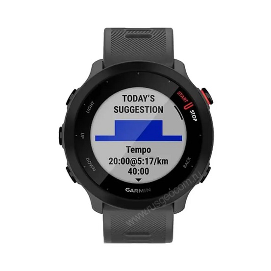 Часы Garmin Forerunner 55 серые