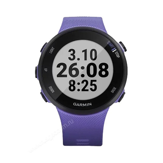 Часы Garmin Forerunner 45S ирис