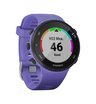 Часы Garmin Forerunner 45S ирис