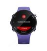 Часы Garmin Forerunner 45S ирис