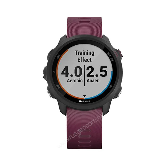 Часы Garmin Forerunner 245 черные с вишневым ремешком