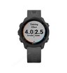 Часы Garmin Forerunner 245 черные с серым ремешком