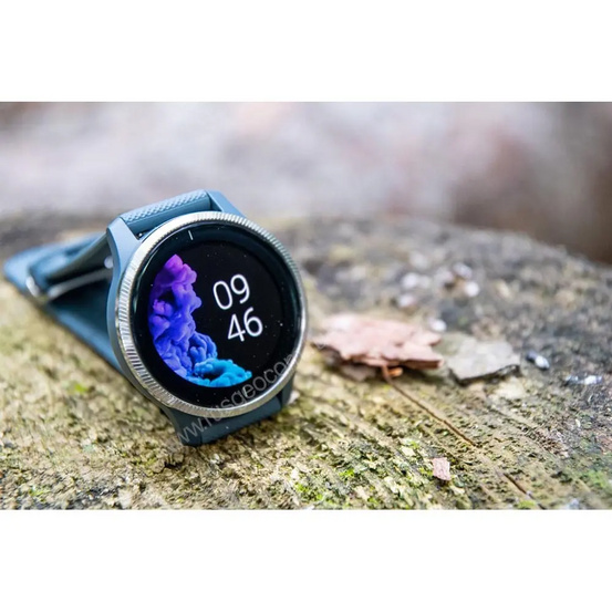 Часы Garmin Venu синий гранит с серебристым безелем