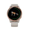 Часы Garmin Venu песочного цвета с золотистым безелем