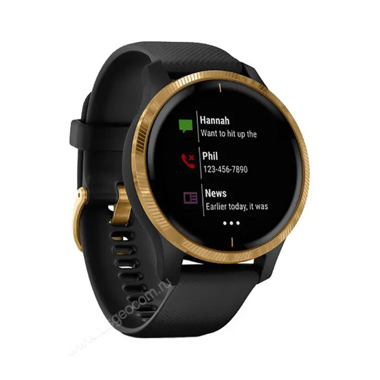 Часы Garmin Venu черные с золотистым безелем