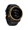 Часы Garmin Venu черные с золотистым безелем