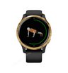 Часы Garmin Venu черные с золотистым безелем