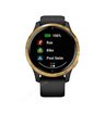 Часы Garmin Venu черные с золотистым безелем