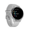 Часы Garmin Venu 2S серебристые