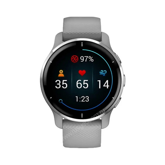 Часы Garmin Venu 2 Plus серые с серебристым безелем и силиконовым ремешком