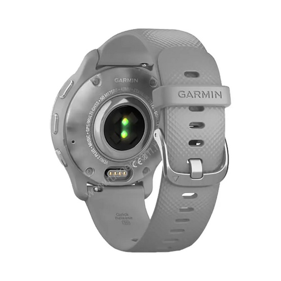 Часы Garmin Venu 2 Plus серые с серебристым безелем и силиконовым ремешком