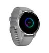 Часы Garmin Venu 2 Plus серые с серебристым безелем и силиконовым ремешком