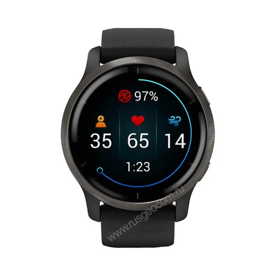 Часы Garmin Venu 2 черные с серым безелем