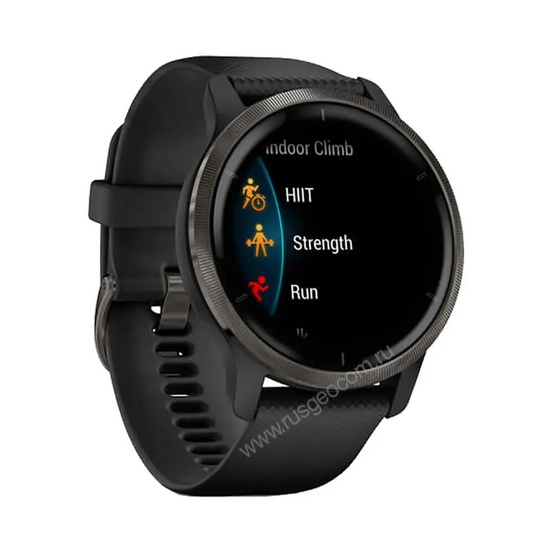 Часы Garmin Venu 2 черные с серым безелем