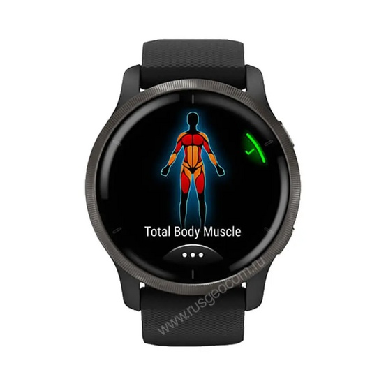 Часы Garmin Venu 2 черные с серым безелем
