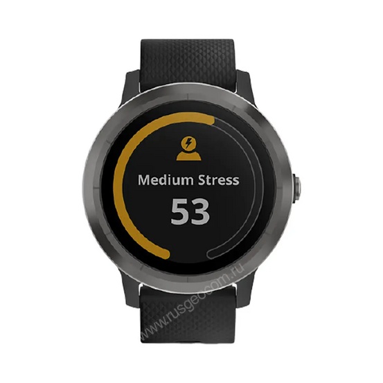 Часы Garmin Vivoactive 3 черные с черным ремешком