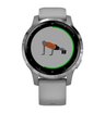 Часы Garmin vivoactive 4s серые с серебристым безелем