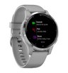 Часы Garmin vivoactive 4s серые с серебристым безелем