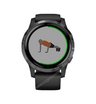 Часы Garmin Vivoactive 4 черные с серым безелем