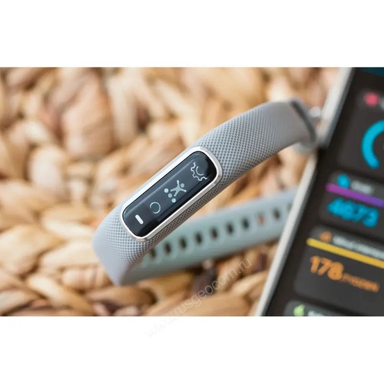 Фитнес-браслет Garmin Vivosmart 4 серебристые