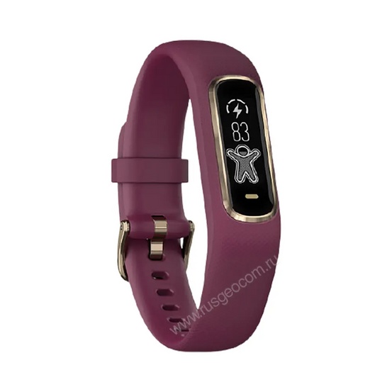 Фитнес-браслет Garmin Vivosmart 4 бордовые с золотом