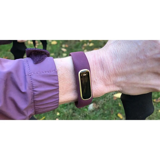 Фитнес-браслет Garmin Vivosmart 4 бордовые с золотом