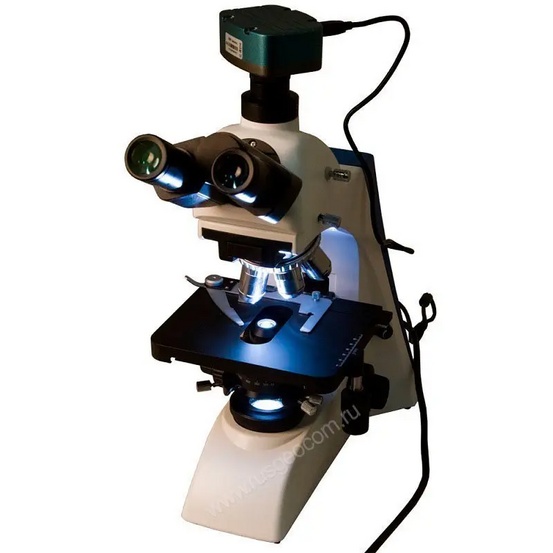 Цифровой микроскоп Levenhuk MED MD600T