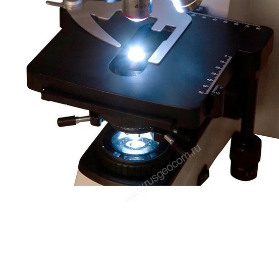 Цифровой микроскоп Levenhuk MED D40T
