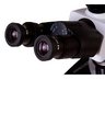 Цифровой микроскоп Levenhuk MED D35T LCD